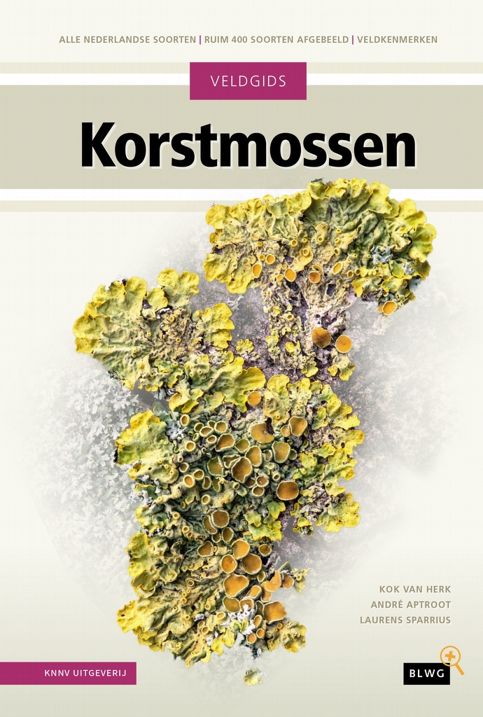 Beginnersexcursie korstmossen – Asten